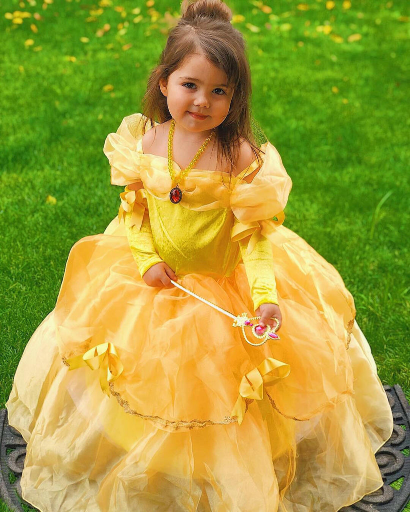 Tale as Old as Time Ball Gown.