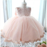Landry Princess Lace Party Dress - Pink / 6-9 Months